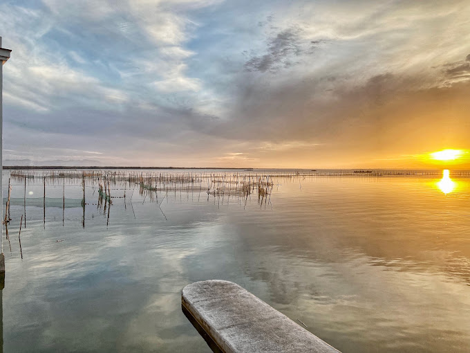 6. پارک طبیعی آلبوفرا (Parque Natural de la Albufera)