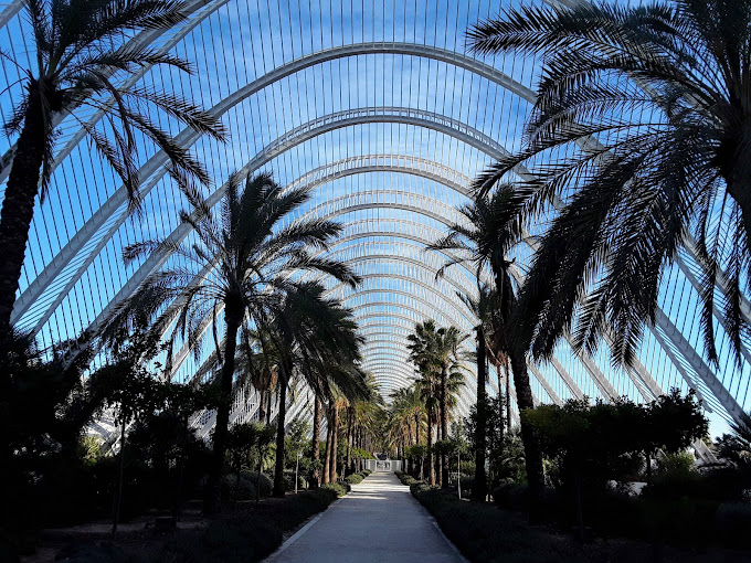 11. باغ توریا (Jardin del Turia)